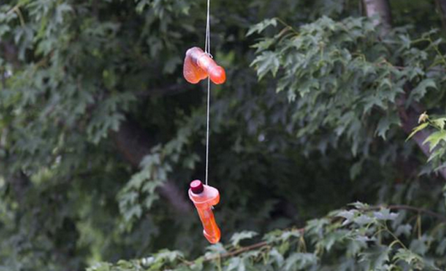 There Is A Dildo Epidemic Happening In Portland Right Now