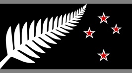 Top 40 NZ Flag Designs Released