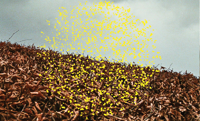 Angie's NZ Tune Of The Week With Jeff From NZ On Air - Pause Applause