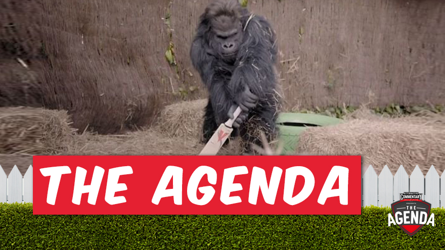 Which primates would make the best cricket players