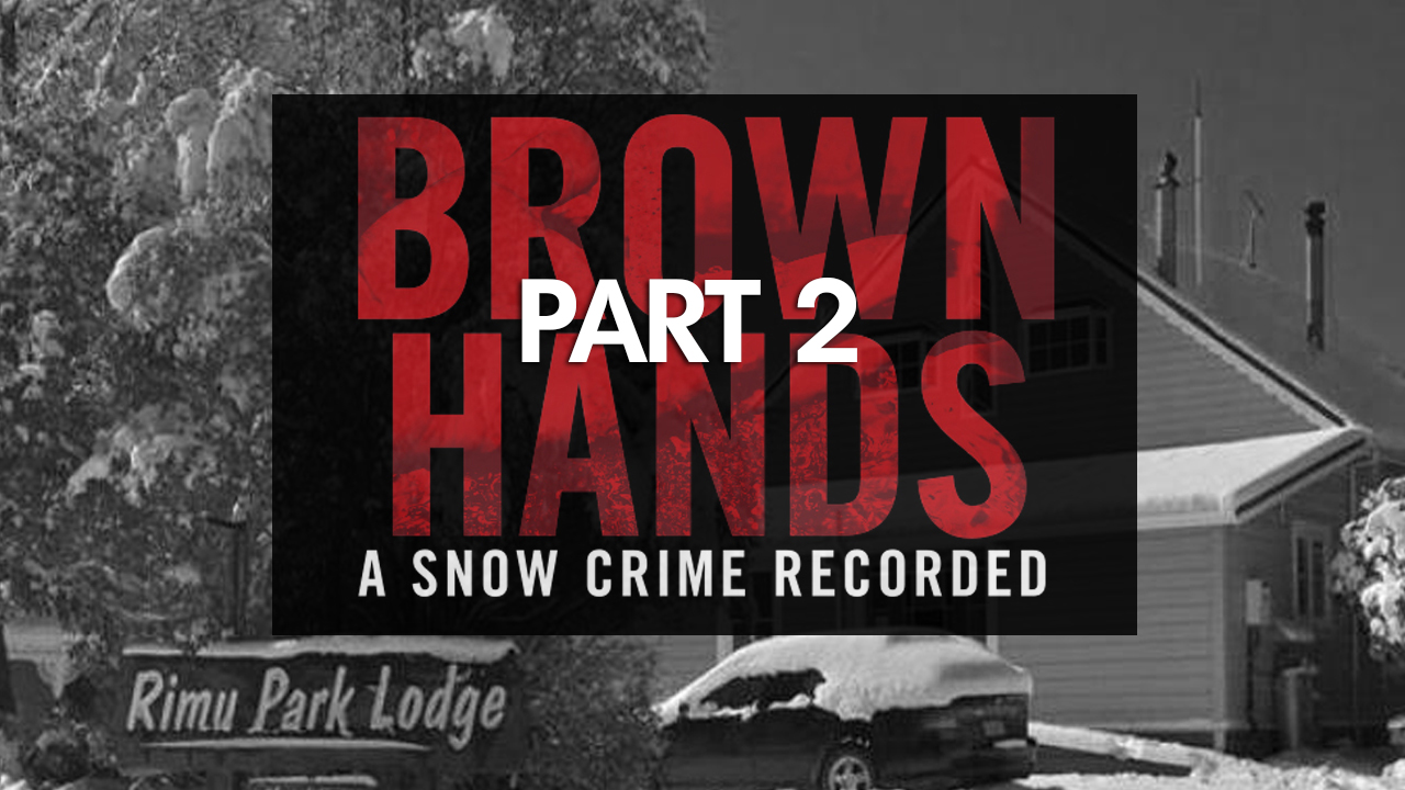 Brown Hands - A Snow Crime Recorded (Part 2)