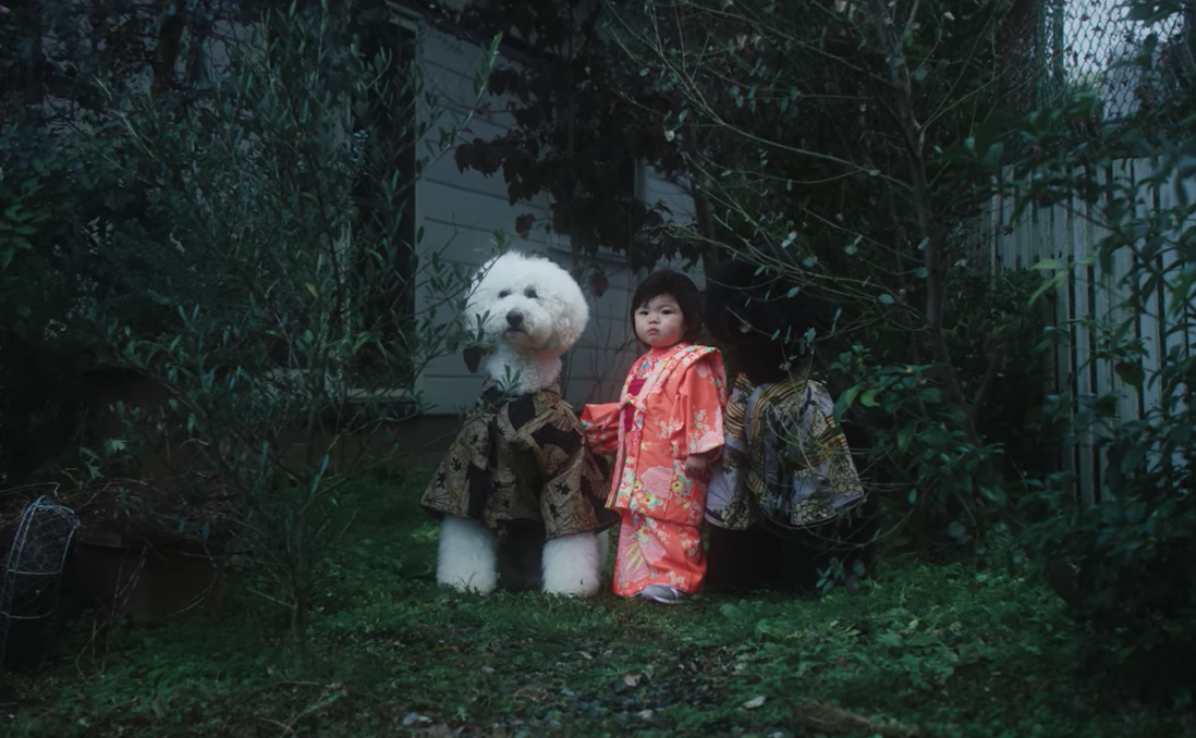 Watch the new video for "Fix Me" by Beck