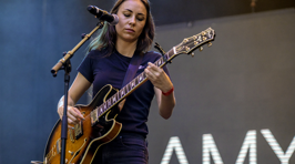 Photos of Laneway 2018