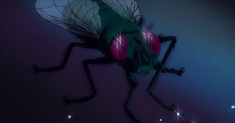 Watch the video for the new Unknown Mortal Orchestra song