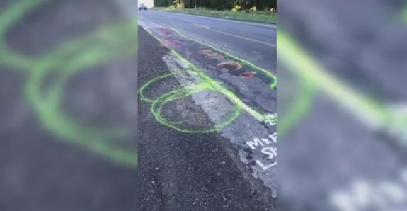 Man draws massive penises on the road to get Auckland Transport to fix potholes