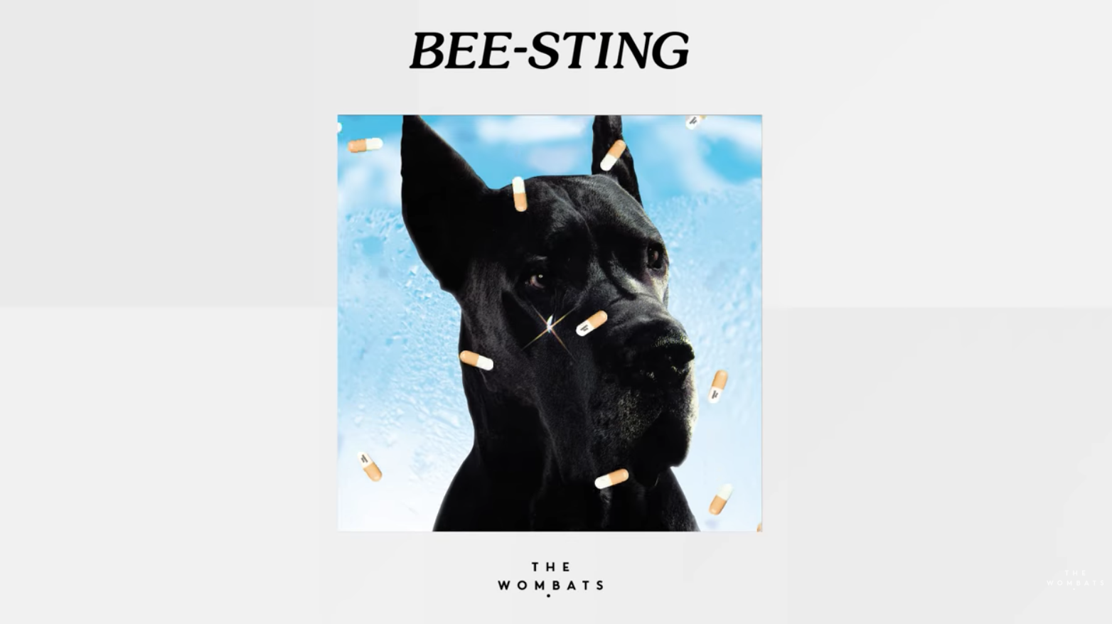 Listen to the new song by The Wombats called "Bee-Sting"