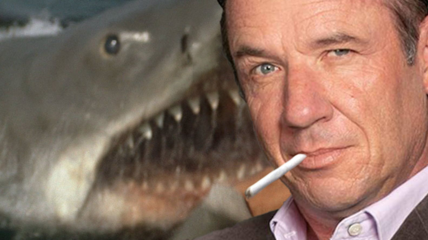 That time Jason Hoyte hunted a killer shark