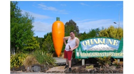 All the places John Johnson & the Travellers have been to in NZ