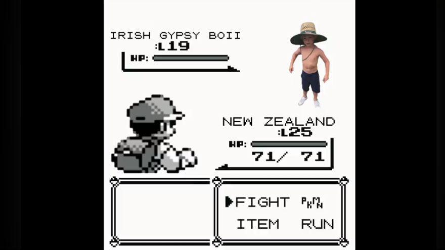 A genius created a Pokemon battle between the traveller kid & NZ