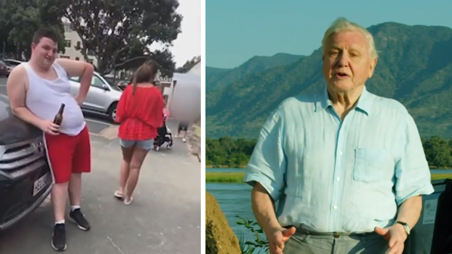 Travelling Family Dynasties - Trailer