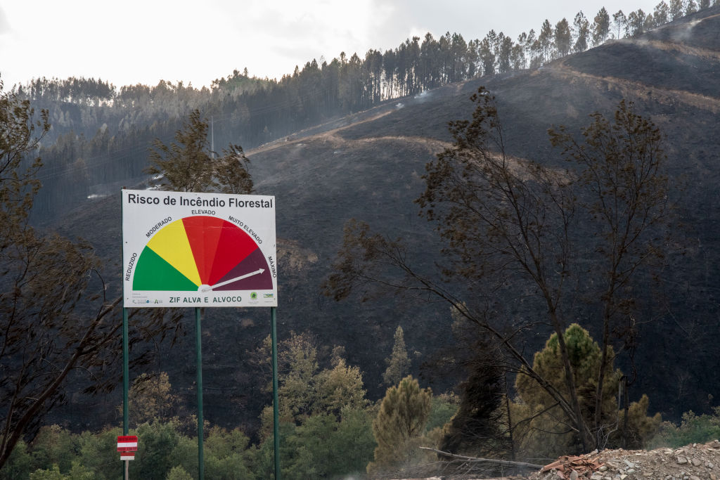 Matt & Jerry's Sports Chat with Scotty J - April 29 2019