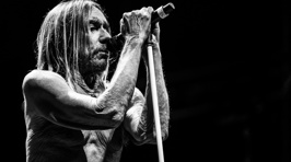 Photos of the Byron Bay Bluesfest