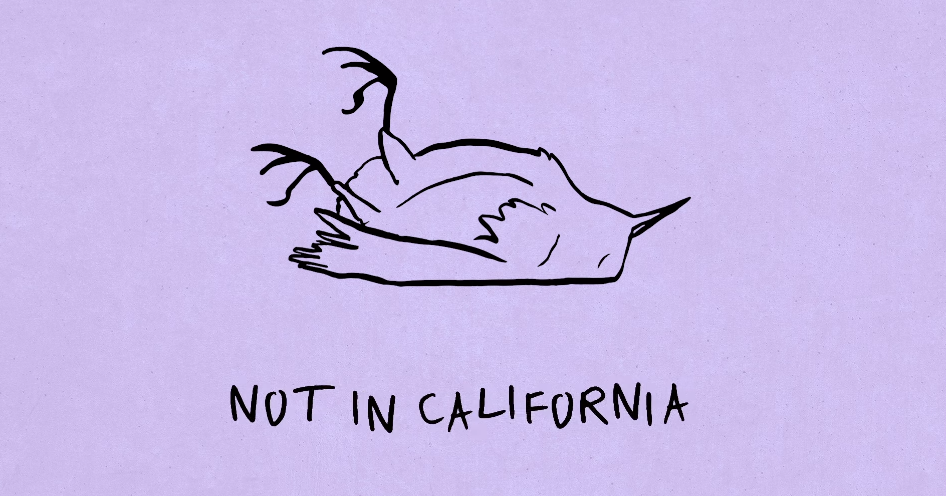 Listen to the brand new K. Flay song "Not In California"