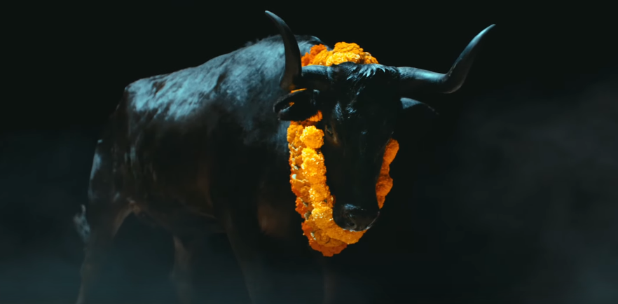 Watch the video for the brand new Foals song "Black Bull"