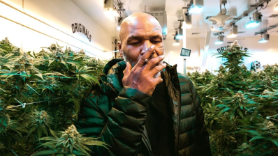 did mike tyson smoke cigarettes to give up one of his favorite past times in preparation for Jake Paul fight Mike Tyson smokes huge joint