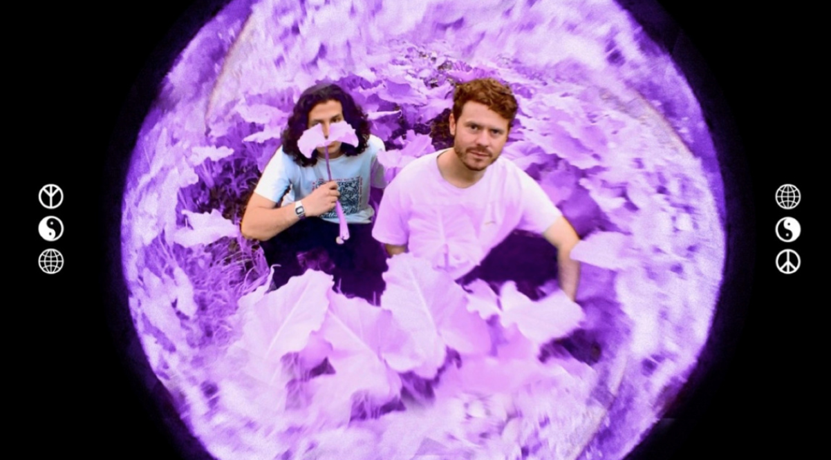 Listen to the new DUAL song "What Do You Say"