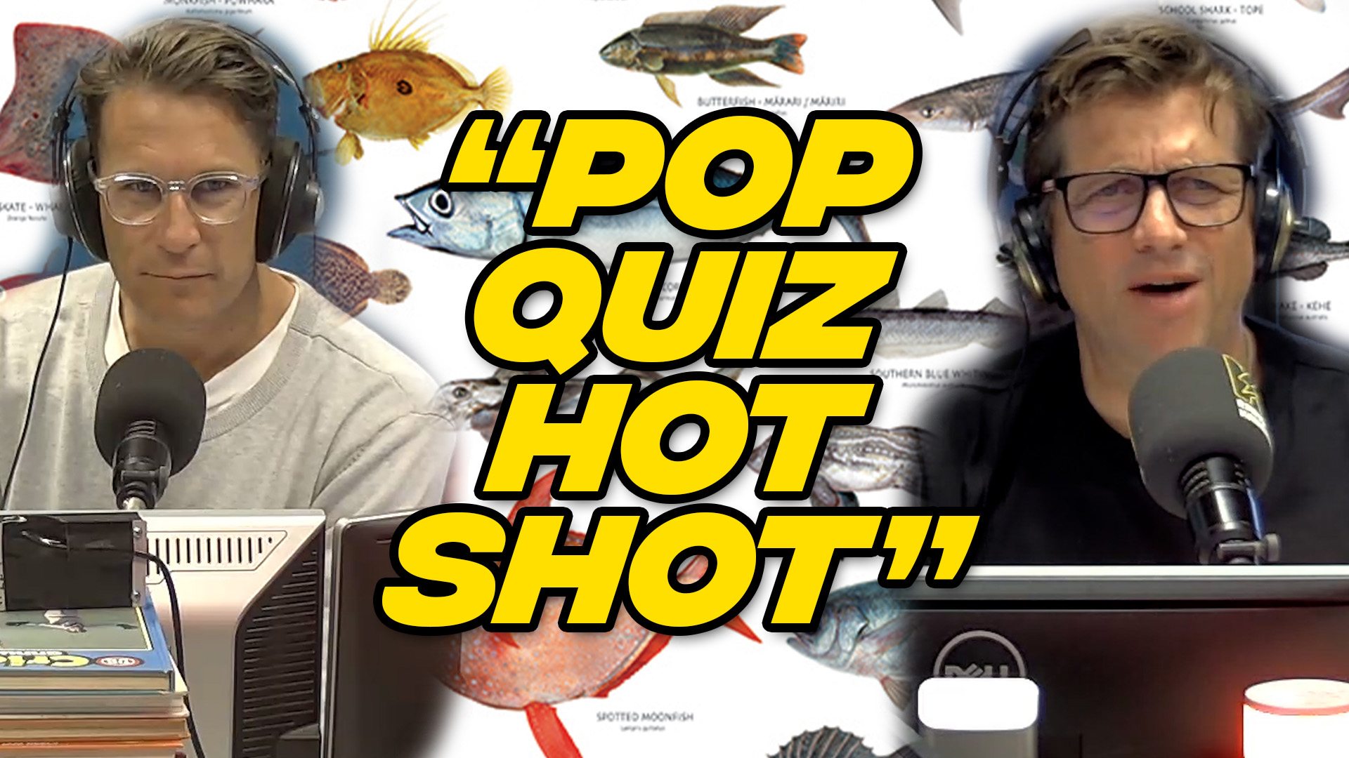 POP QUIZ HOT SHOT!