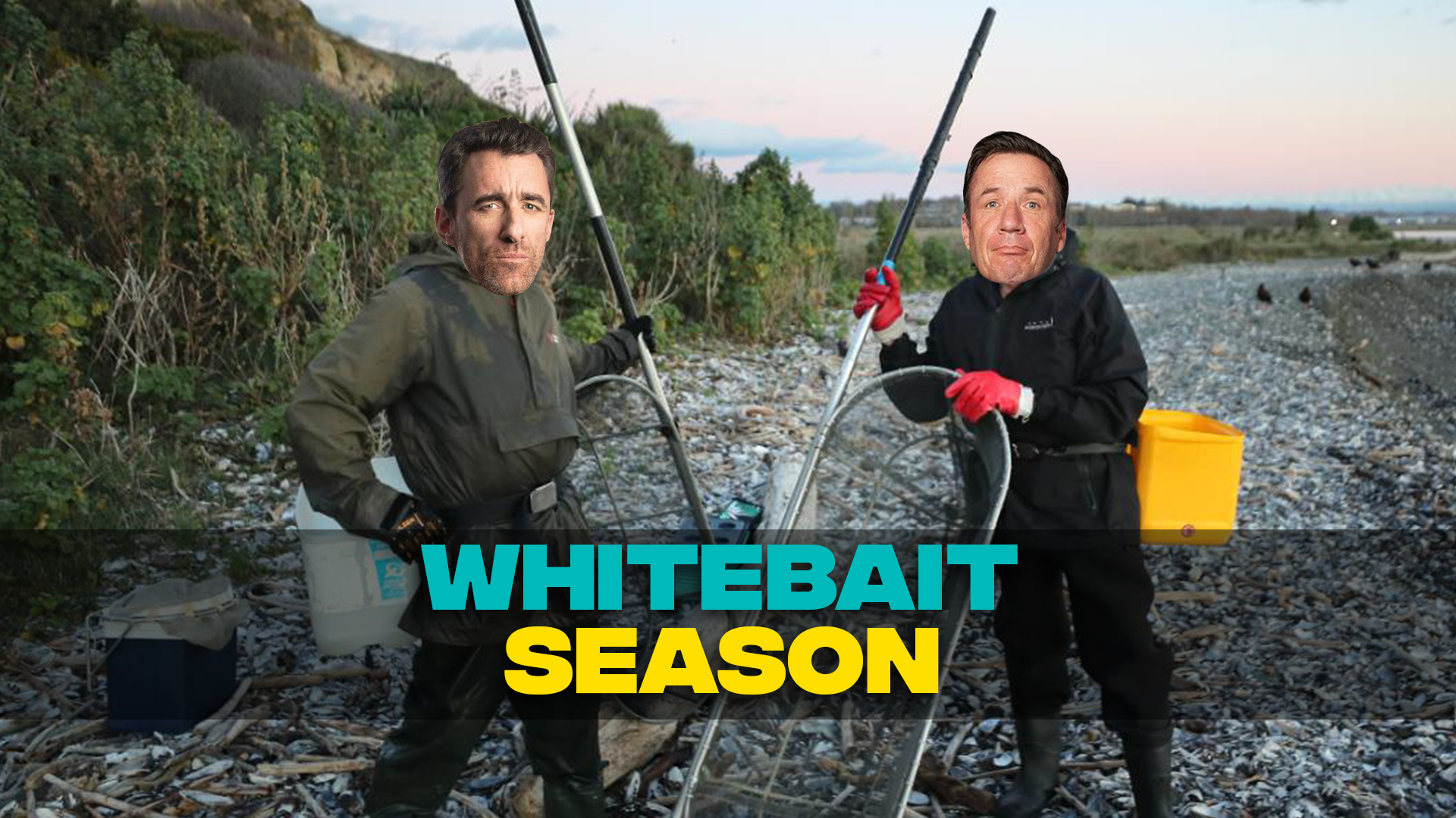 WhiteBait season