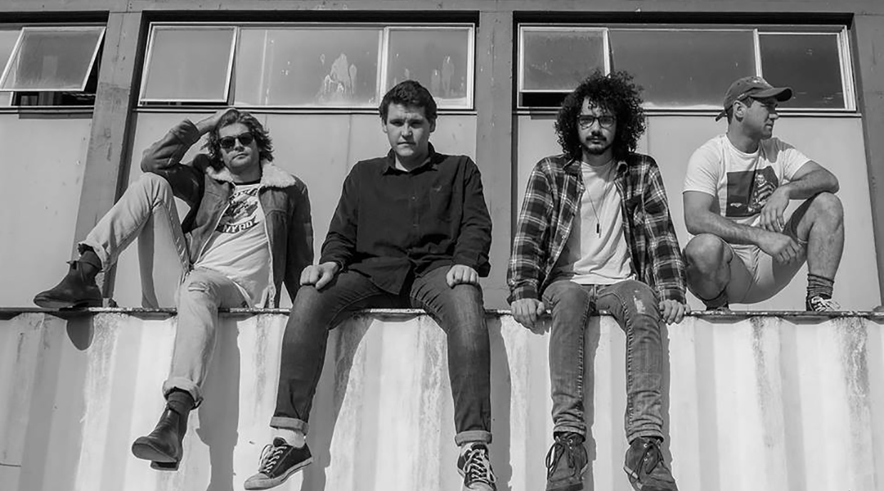 Dolphin Friendly - Radical Desire