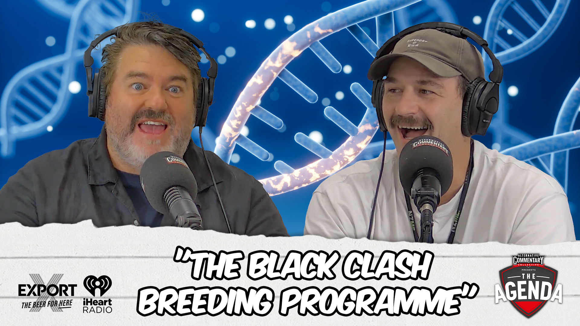 "The Black Clash Breeding Programme"