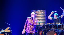 Midnight Oil Live In Auckland!