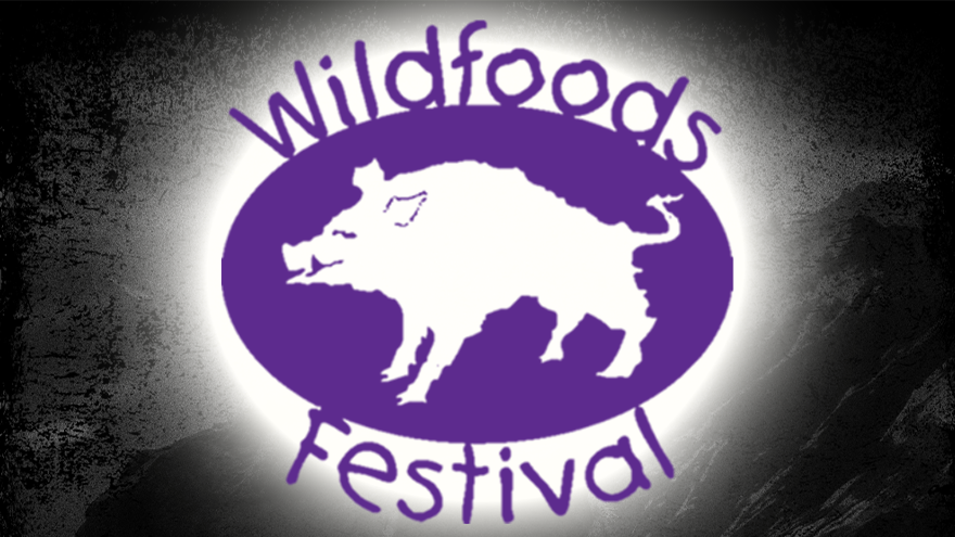 Hokitika Wildfoods Festival 2026