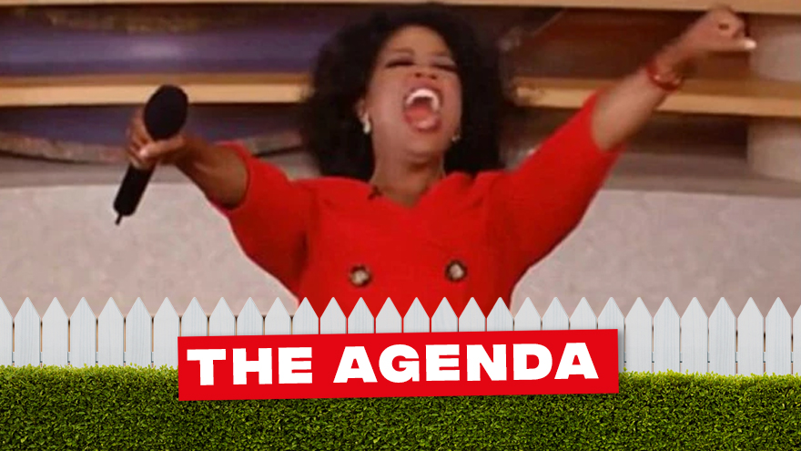 Will the All Blacks Selectors be throwing out World Cup spots to Half Backs like Oprah?