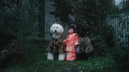 Watch the new video for "Fix Me" by Beck