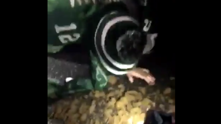 The Eagles won the Super Bowl and their fans celebrated by eating horseshit