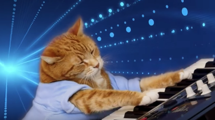 Keyboard Cat has passed away