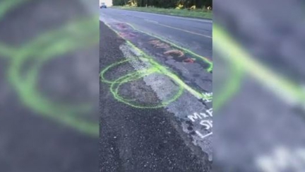 Man draws massive penises on the road to get Auckland Transport to fix potholes