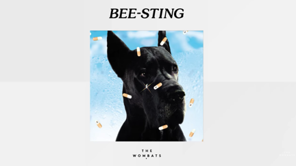 Listen to the new song by The Wombats called "Bee-Sting"
