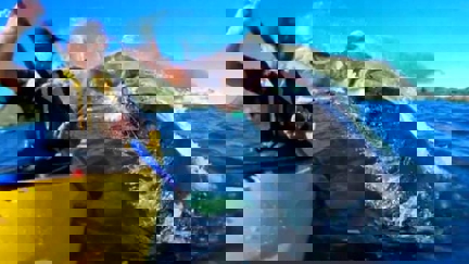 Seal slaps Kaikōura kayaker in the face with an octopus