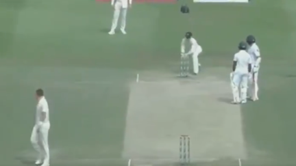 Please enjoy the most Peak Pakistan run out ever