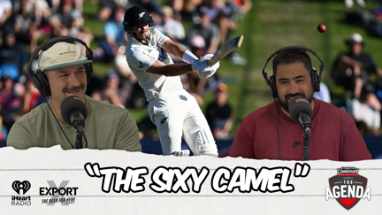 "The Sixy Camel"