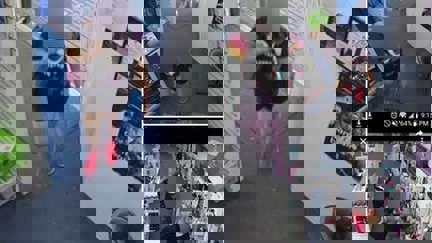 Hunt is on for Lower Hutt's "butt plug bandits"