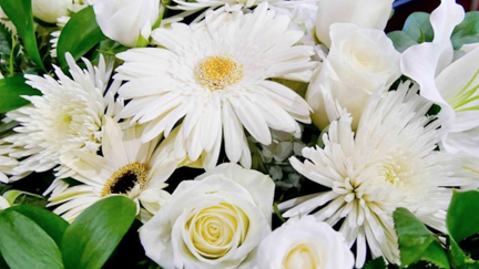 How to help the survivors & families of the victims of the Christchurch attack