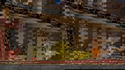 The slow burn success of Matt Heath & Phil Brough's 'Welcome to Cardboard City'