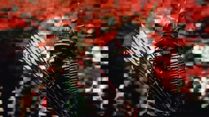 Netflix set to launch Samurai version of 'Game of Thrones'