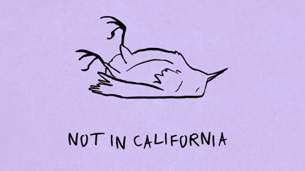 Listen to the brand new K. Flay song "Not In California"