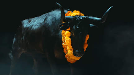 Watch the video for the brand new Foals song "Black Bull"