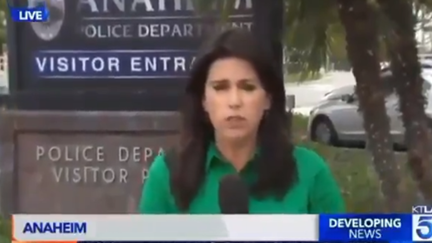 Reporter in epic live cross fail