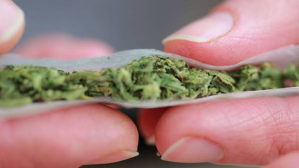 Govt releases draft legislation for how cannabis could be bought and sold