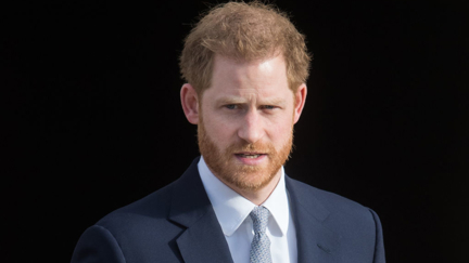 Royal family website links to porn site instead of Harry's charity