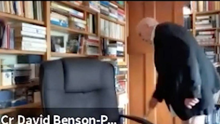 Dunedin councillor caught with pants down on Zoom conference