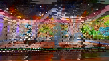 WATCH: The Beths Play Three 'Expert In A Dying Field' Songs On CBS Mornings