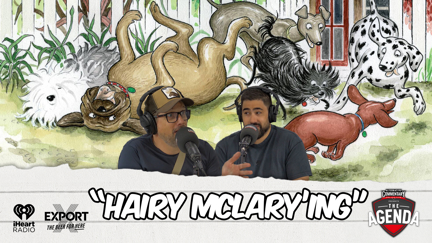 "Hairy McLary'ing"