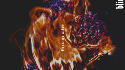 Burn Me Alive - Blindspott