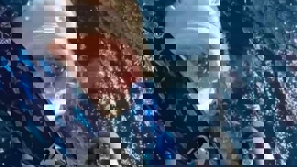 WATCH: Women Almost Dives Straight Into A Sharks Mouth